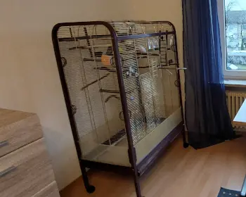 Neuer großer alter Käfig