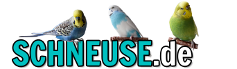 Schneuse.de
