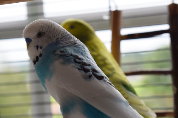 Willkommen auf Schneuse.de!