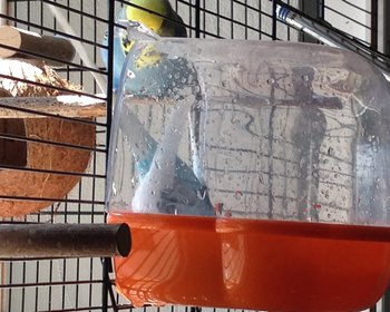 Badewanne erneuter Versuch