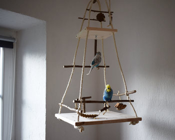 Vogelschaukel und Spielplatz für Wellensittiche