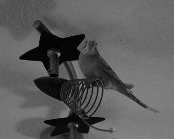 Willy ✝ am 03.01.2020