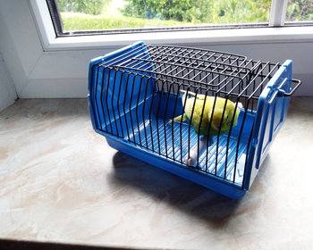 Transportkäfig für Wellensittiche
