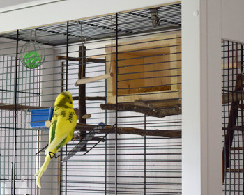 Süßes Vogelhäuschen, Schlafhaus aus Holz