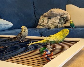 Bilder von Januar bis Mai 2024