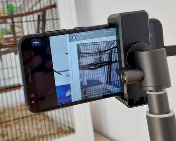 Webcam für die Wellis mit alten Android Smartphone