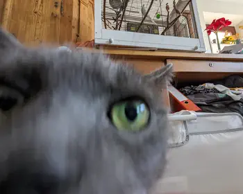 Silvester gut überstanden und frohes neues Jahr