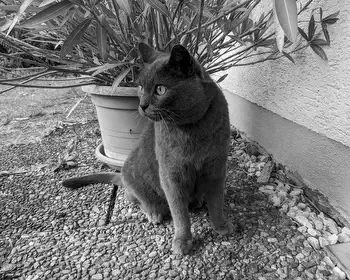 Milo – ✝️ 10.01.2025